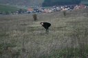 gal/wegry - rallye eger, budapeszt 4-6.04.08/_thb_IMG_1368 [640x480].JPG